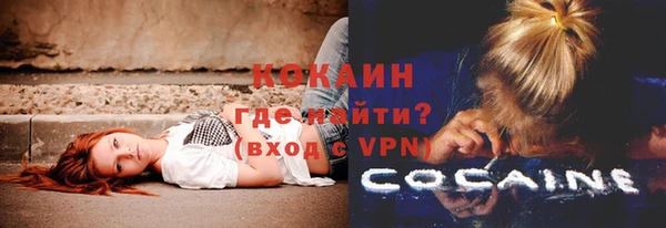 хмурый Нея