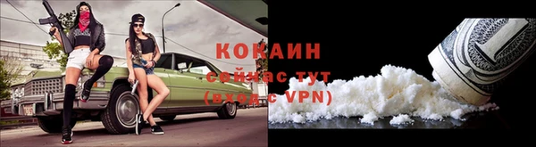гидра Новокубанск