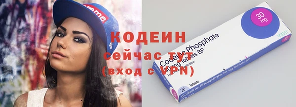 хмурый Нея