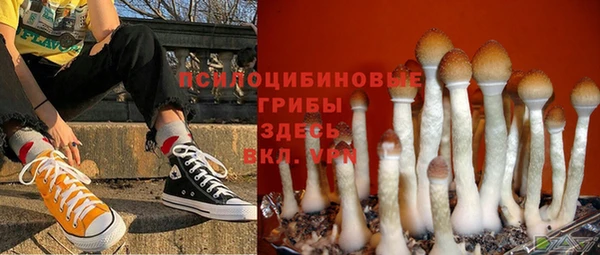ECSTASY Нефтегорск